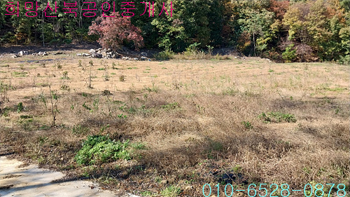 �Ź� �̹���